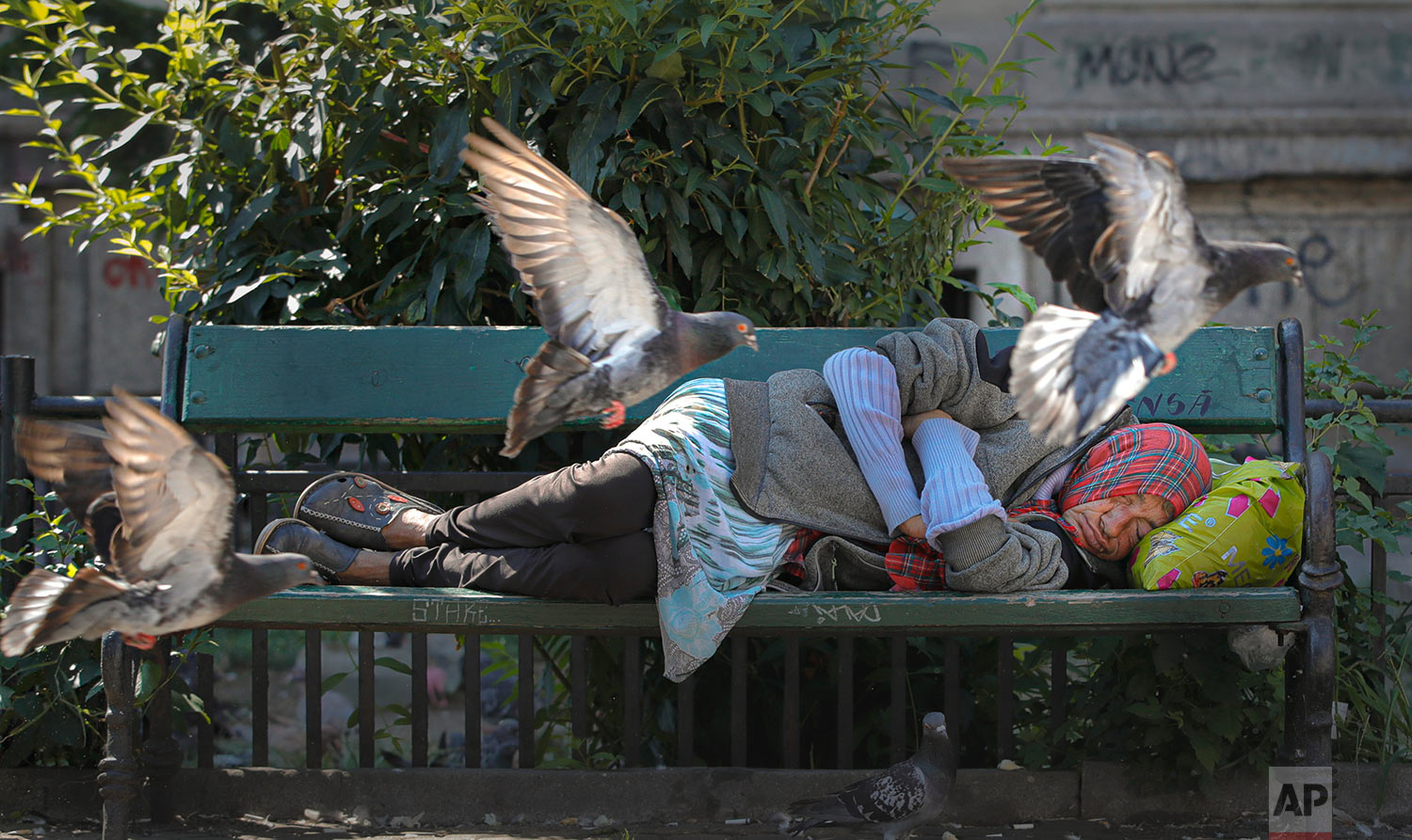 Pigeons fly past a woman sleeping on a bench on a hot day in Bucharest, Romania, Wednesday, Aug. 7, 2019. The national weather authority issued a heat wave warning with temperatures expected to rise above 35 degrees Centigrade (95 Fahrenheit) in the shade in the coming days. (AP Photo/Vadim Ghirda)