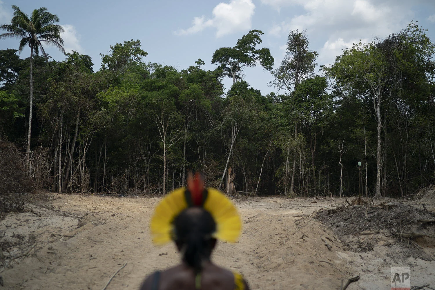 Krimej indigenous Chief Kadjyre Kayapo, of the Kayapo indigenous community, looks out at a path created by loggers on the border between the Biological Reserve Serra do Cachimbo, front, and Menkragnotire indigenous lands, in Altamira, Para state, Brazil, Aug. 31, 2019. Much of the deforestation in the Brazilian Amazon is done illegally -- land grabbers burn areas to clear land for agriculture and loggers encroach on national forests and indigenous reserves, and Kayapo says he does not want loggers and prospectors on his land. (AP Photo/Leo Correa)
