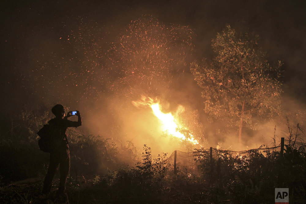 A man uses his mobile phone to take photos of a forest fire in Kampar, Riau province, Indonesia, Monday, Sept. 16, 2019. (AP Photo/Rafka Majjid)