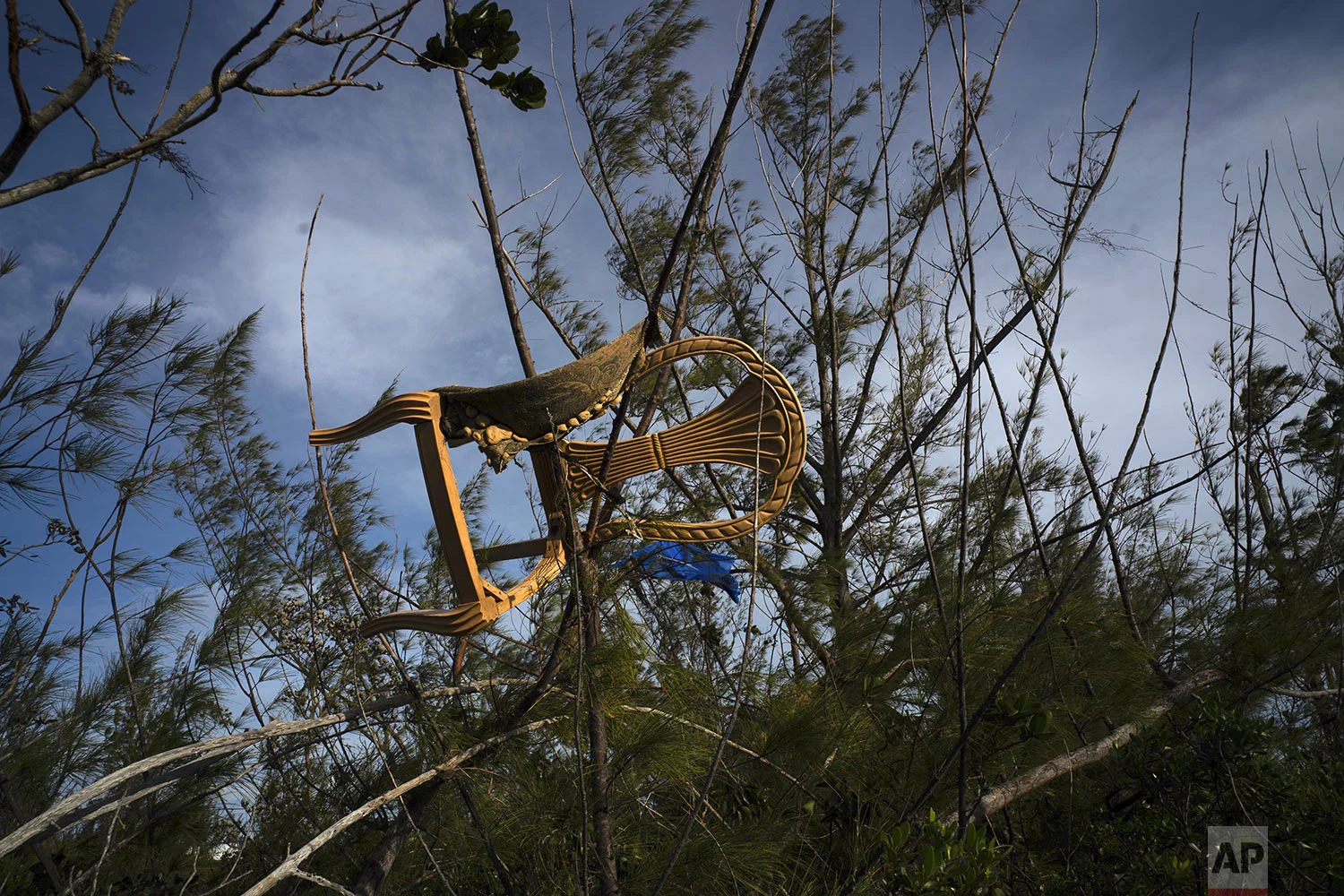 A chair is caught in a grove blown there by Hurricane Dorian's powerful winds, in Pine Bay, near Freeport, Bahamas, Wednesday, Sept. 4, 2019. Rescuers trying to reach drenched and stunned victims in the Bahamas fanned out across a blasted landscape