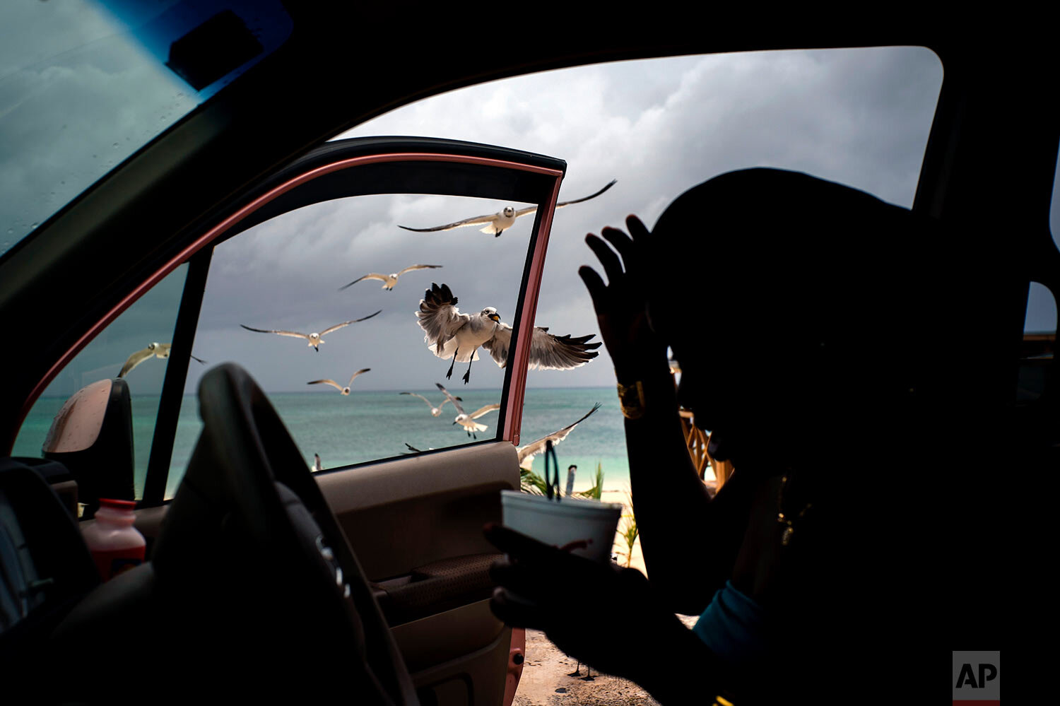 Seagulls fly toward a woman feeding them french fries from her car on Taino beach before the arrival of Hurricane Dorian in Freeport, Grand Bahama, Bahamas, Sunday, Sept. 1, 2019. (AP Photo/Ramon Espinosa)