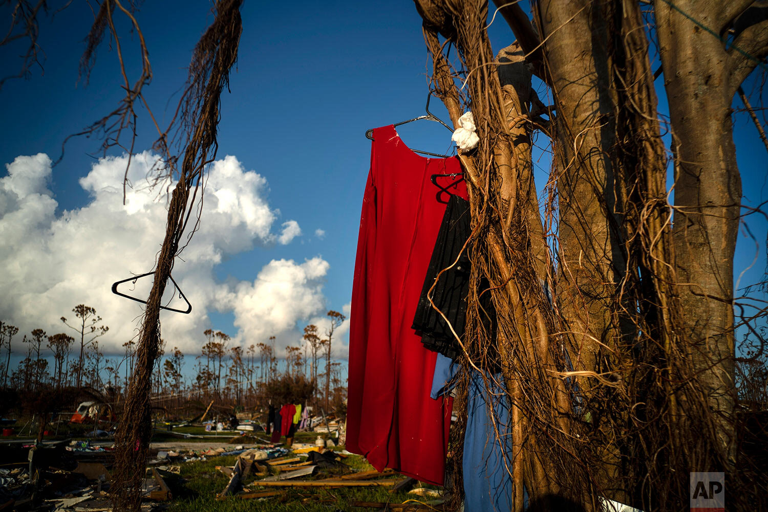 Clothes hang to dry from a tree next to the home of the mother of Valentino Ingraham that was destroyed one week ago by Hurricane Dorian in Rocky Creek East End, Grand Bahama, Bahamas, Sunday, Sept. 8, 2019. The family rode out the storm in nearby government shelters, and returned to find their homes destroyed. (AP Photo/Ramon Espinosa)
