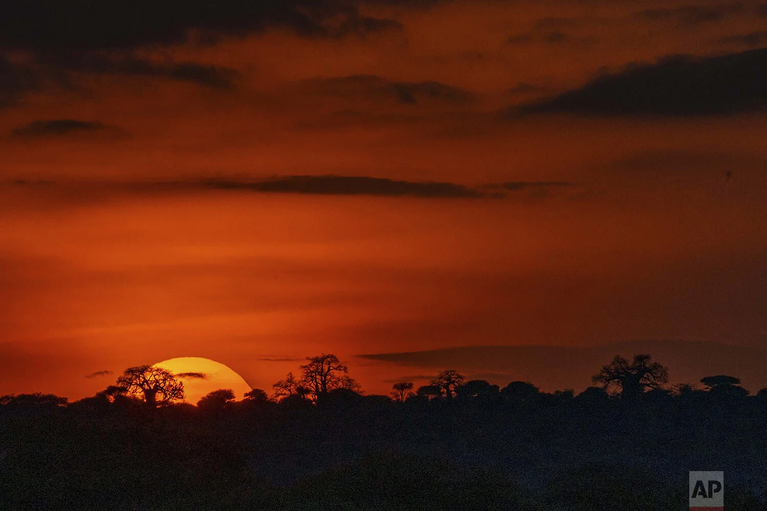 The sun sets on Tanzania's Tarangire National Park, Saturday July 6, 2019. (AP Photo/Jerome Delay)