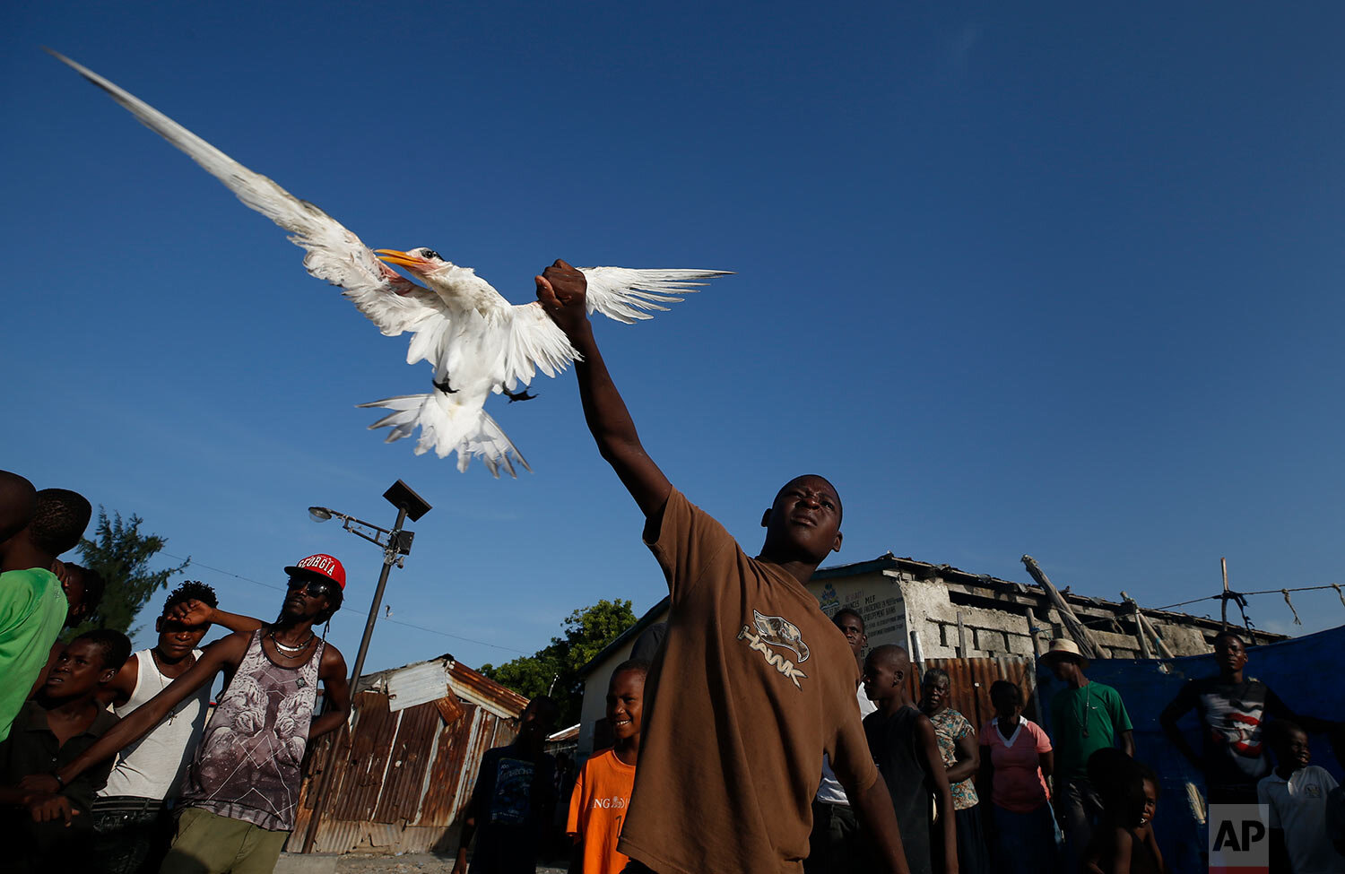 Haiti In Turmoil