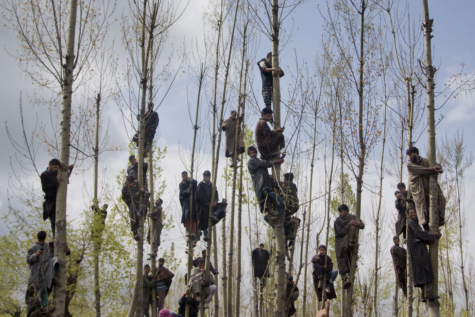 Kashmiri Muslims climb trees to watch the funeral procession of Waseem Malla, a suspected militant of Hizbul Mujahideen, in Pehlipora, some 60 kilometers (35 miles) south of Srinagar, Indian controlled Kashmir, April 7, 2016. (AP Photo/Dar Yasin)