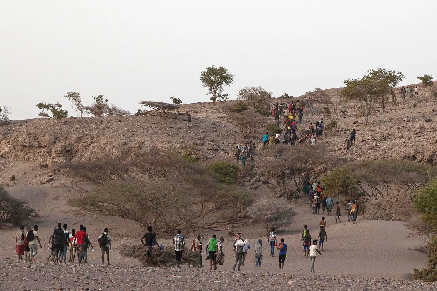 Ethiopian migrants are led by a smuggler to a disembarking point on the uninhabited coast outside the town of Obock, Djibouti, on the shore closest to Yemen. (AP Photo/Nariman El-Mofty)