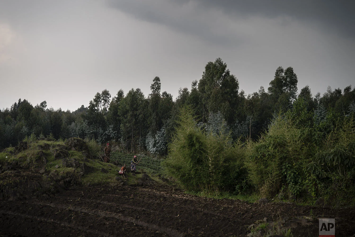 Farmers work on their land near the Volcanoes National Park in Kinigi, Rwanda. (AP Photo/Felipe Dana)