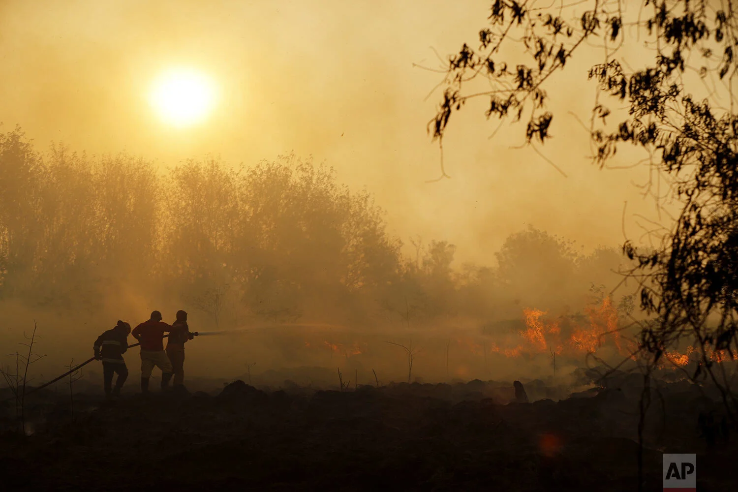 Firefighters from the city of Luque spray water on a fire in Guazu National Park on the outskirts of Asuncion, Paraguay, Tuesday, Oct. 1, 2019. More than 300,000 hectares of subtropical forest have burned since July across Paraguay due to the illegal burning of grasslands for agricultural planting, according to the National Security Ministry. (AP Photo/Jorge Saenz)