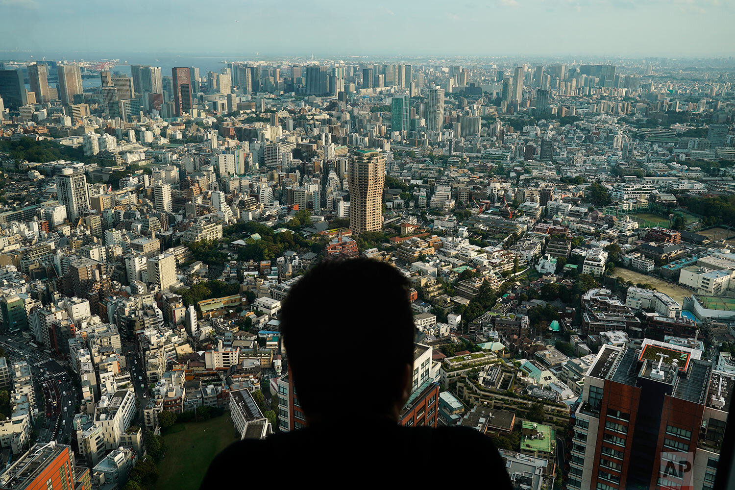 Tokyo From Above