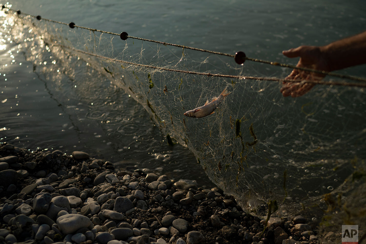  In this June 28, 2019 photo, Shyqyri Seiti, pulls his fishing net from the Vjosa River near Ane Vjose, Albania. The 65-year-old boatman has been transporting locals, goods and livestock across the river for about a quarter century. The construction 