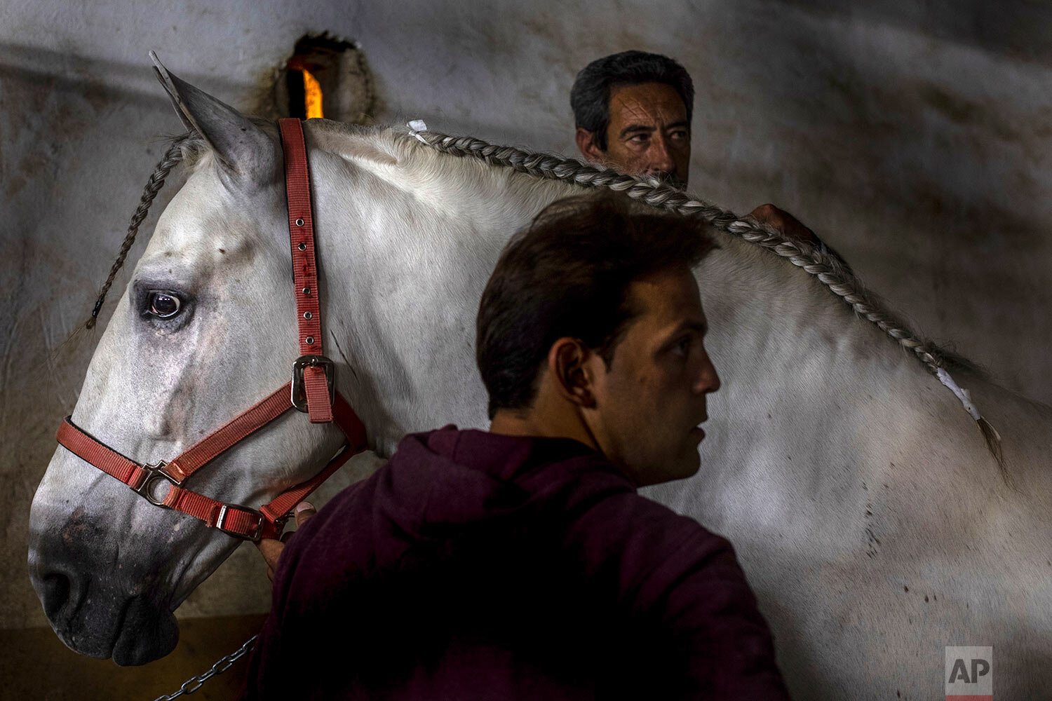  Antonio Torres and Niky Alcazar braid the mane of Rociero, a Spanish pure breed that they hope can win the competition for best cloak during the annual fiesta called "Los Caballos del Vino," in Caravaca de la Cruz, southeast Spain, on May 2, 2019. T