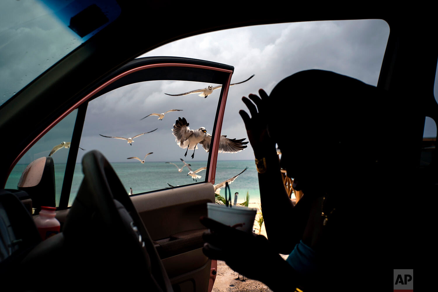  Seagulls fly toward a woman feeding them french fries from her car on Taino beach before the arrival of Hurricane Dorian in Freeport, Grand Bahama, Bahamas, on Sept. 1, 2019. (AP Photo/Ramon Espinosa) 