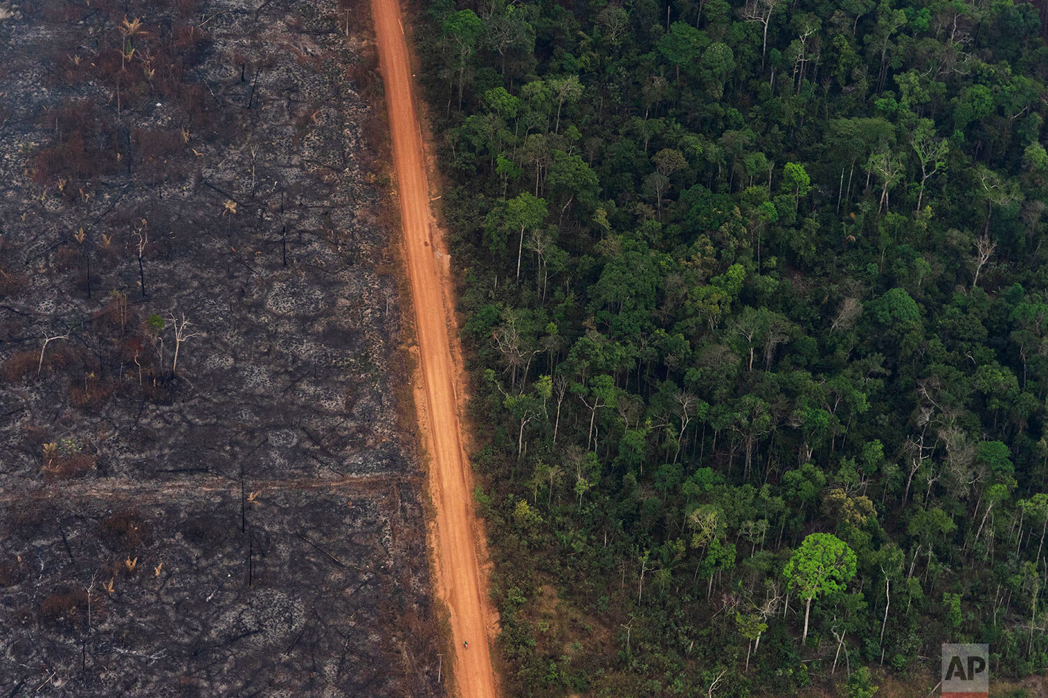  A lush forest sits next to a field of charred trees in Vila Nova Samuel, Brazil, on Aug. 27, 2019. The fires that swept parts of the Amazon this year added to global worries about a warming climate, as well as the sense of urgency at the Climate Act