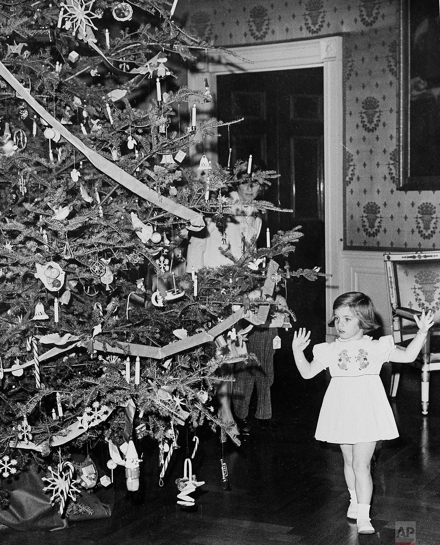  The Christmas tree in the White House Blue Room gets Caroline Kennedy's attention, Dec. 13, 1961 as she inspects it before a party for White House employees given by her parents. (AP Photo/Henry Burroughs) 