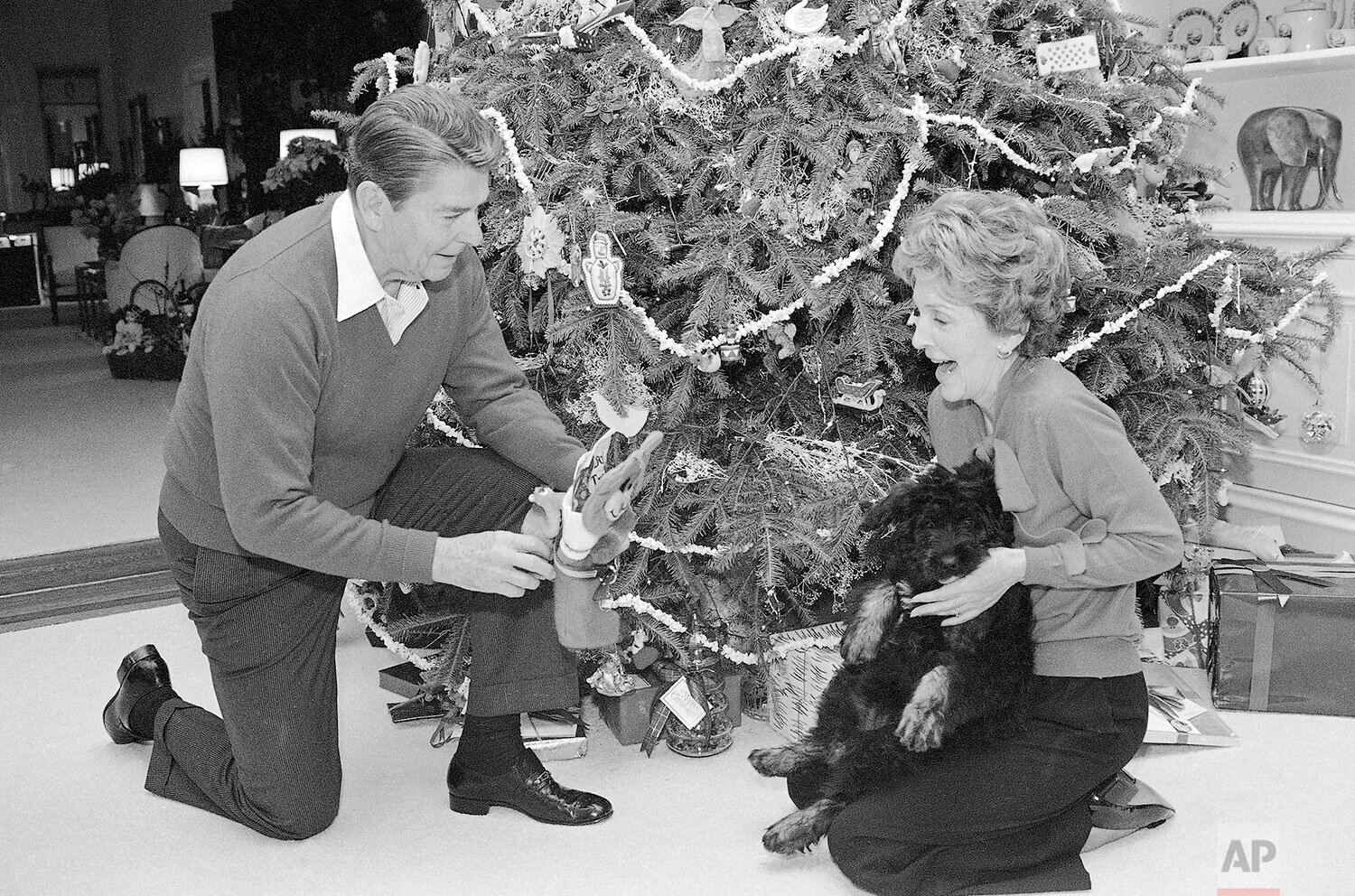  President Ronald Reagan and Nancy Regan have a new guest for its first Christmas, their dog Lucky, as she checks the gifts with the Reagan's in front of the family quarter's tree at the White House, Dec. 24, 1984 in Washington. (AP Photo/Ron Edmonds