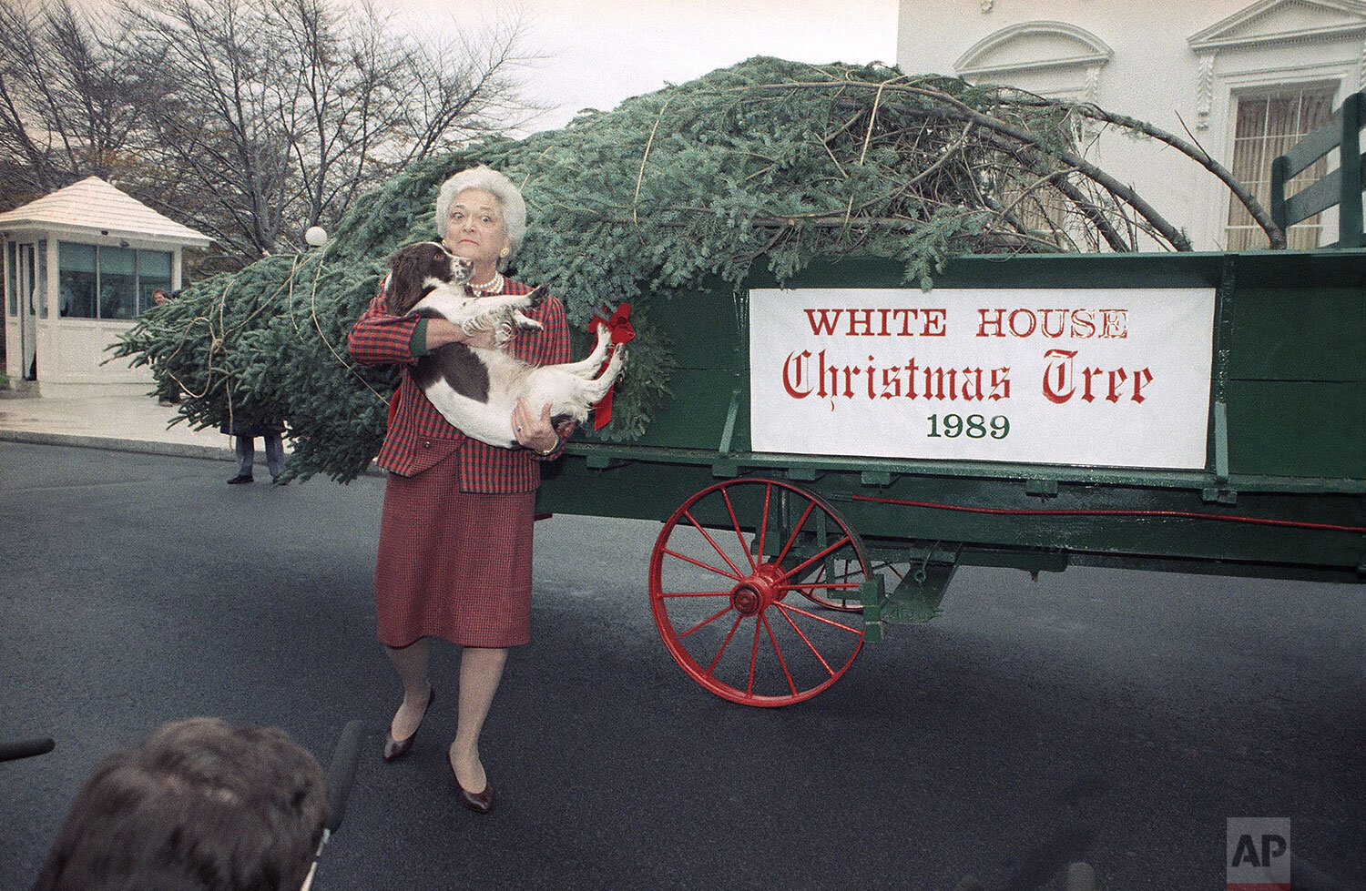  First Lady Barbara Bush holds Millie after the spaniel showed interest in the 18-foot Fraser Fir which arrived at the White House in Washington, Wednesday, Dec. 6, 1989. (AP Photo/Doug Mills) 