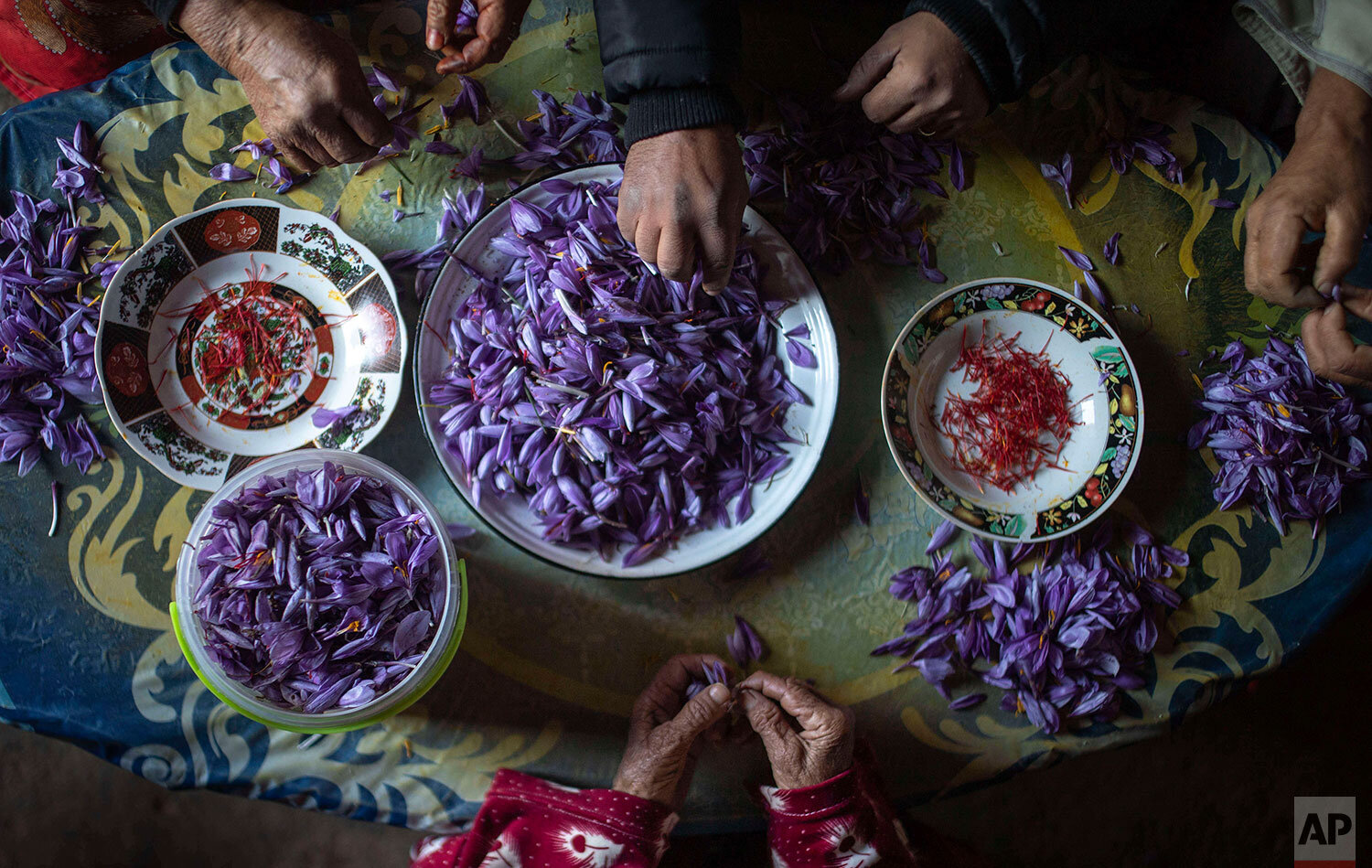 Morocco's Saffron