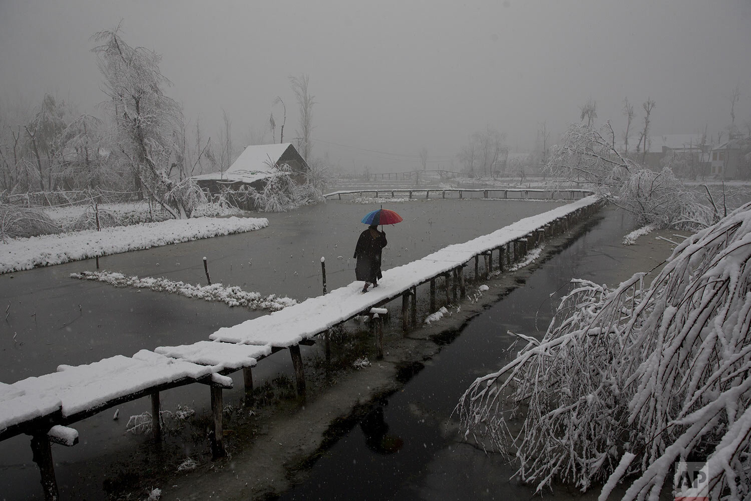  A Kashmiri man walks on a snow covered footbridge as it snows in the interiors of Dal Lake Srinagar, Indian controlled Kashmir, Friday, Dec. 13, 2019. (AP Photo/ Dar Yasin) 
