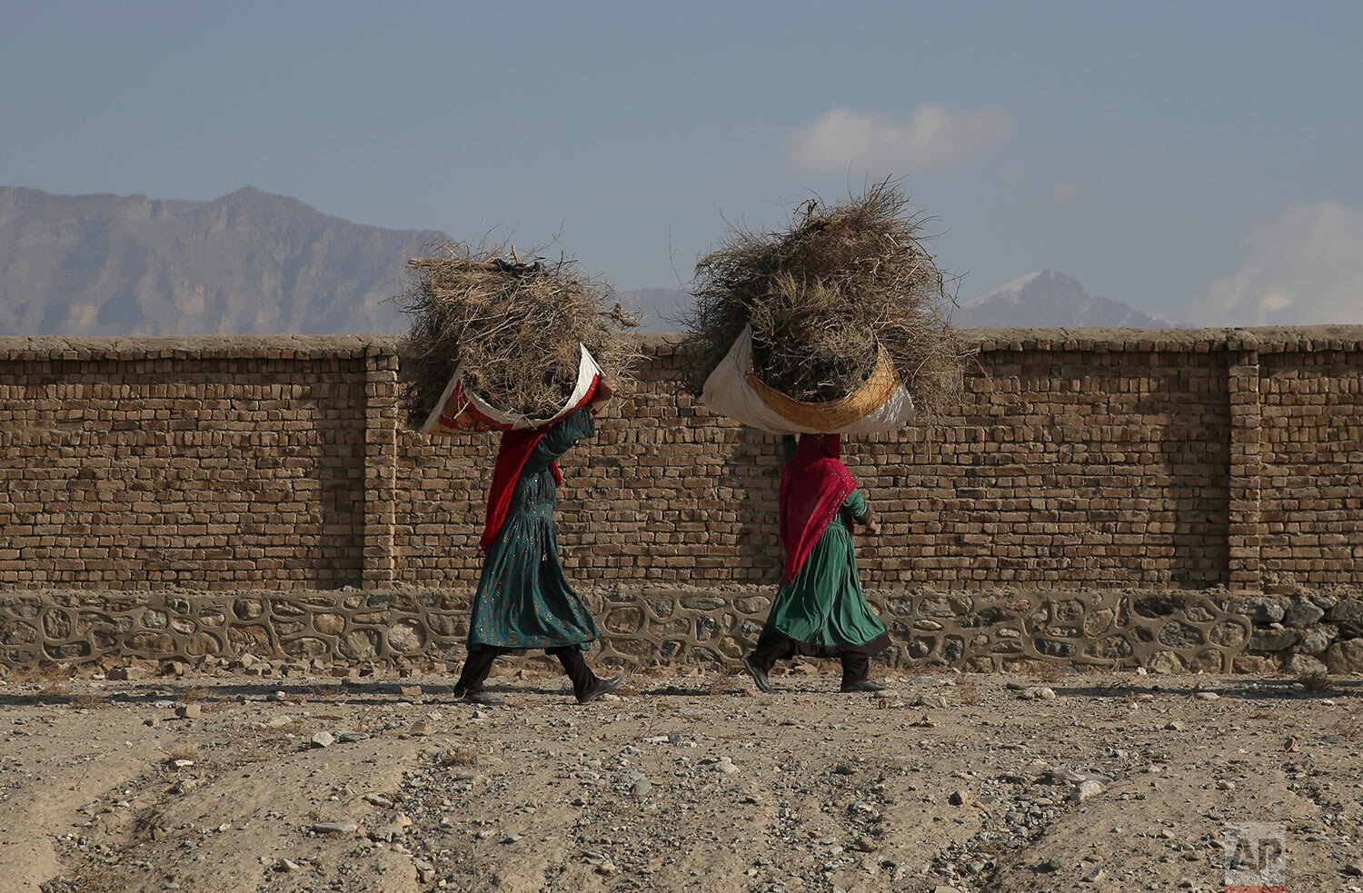  Women carry sacks of firewood on their heads in the Bagram road in Parwan province of Kabul, Afghanistan, Wednesday, Dec. 11, 2019. (AP Photo/Rahmat Gul) 