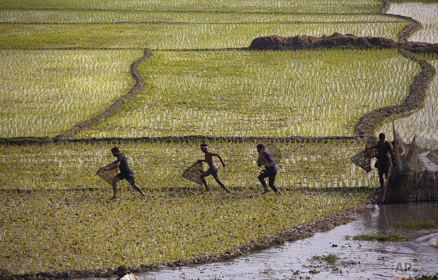  Men run with their traditional fishing tools to participate in a community fishing event during Jonbeel festival near Jagiroad, about 75 kilometers (47 miles) east of Gauhati, India, Friday, Jan. 17, 2020. (AP Photo/Anupam Nath) 