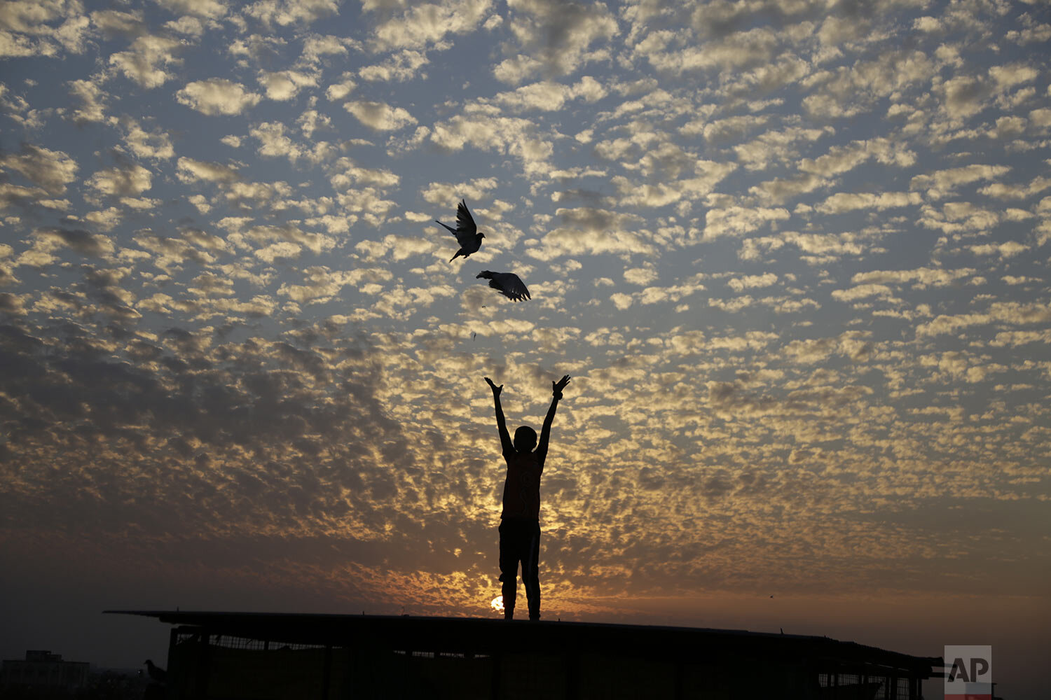  An Indian boy releases pigeons from terrace of his house in Ahmadabad, India, Monday, Jan. 27, 2020. (AP Photo/Ajit Solanki) 