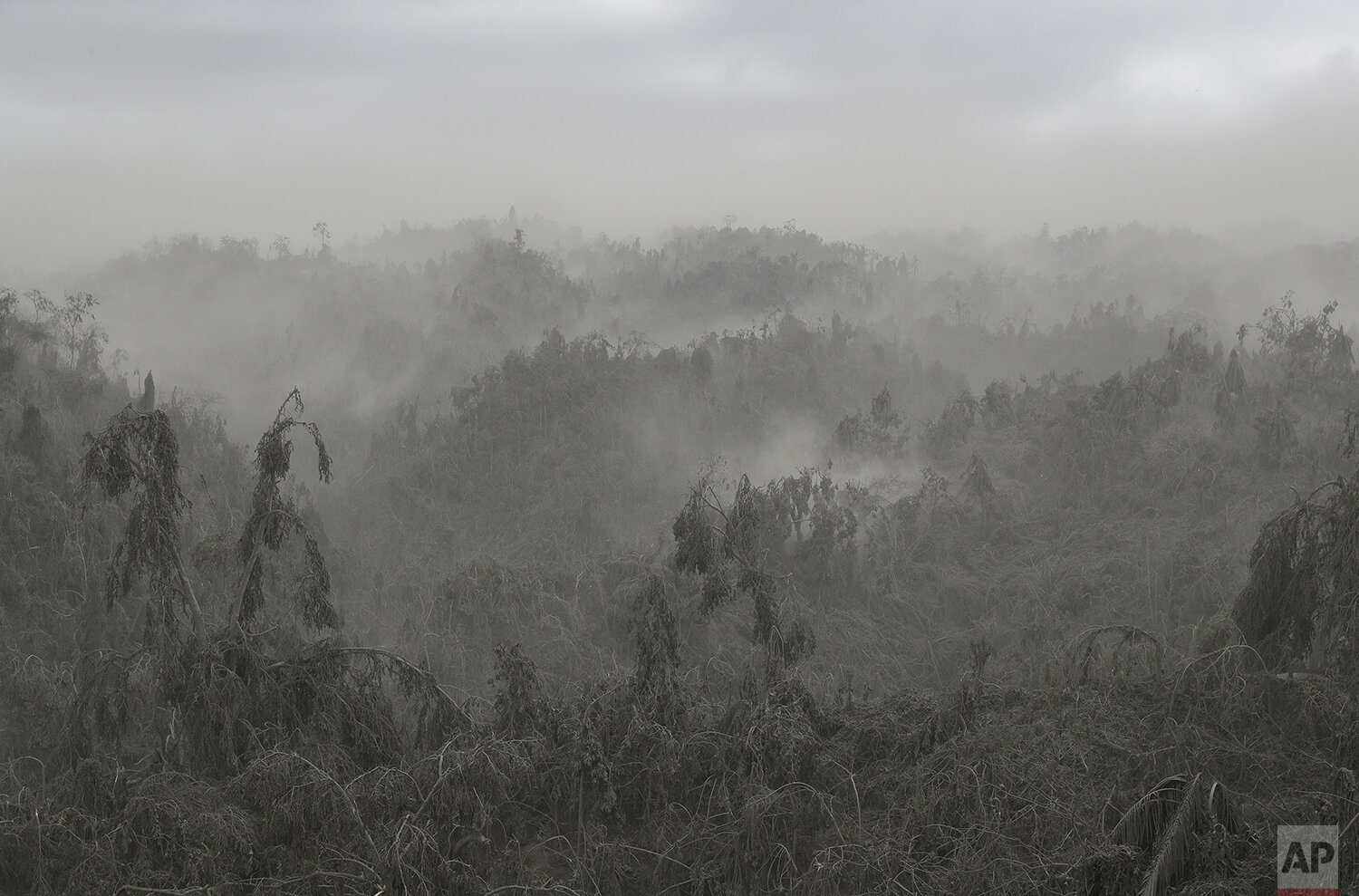 Philippines Volcano