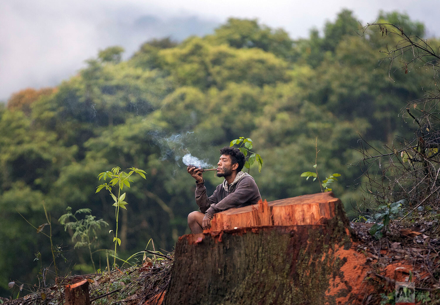  A Guarani Mbya man smokes a pipe next to a cut tree as he occupies land as a protest against real estate developer Tenda which plans to build apartment buildings here, next to his indigenous community's land in Sao Paulo, Brazil, Thursday, Feb. 6, 2