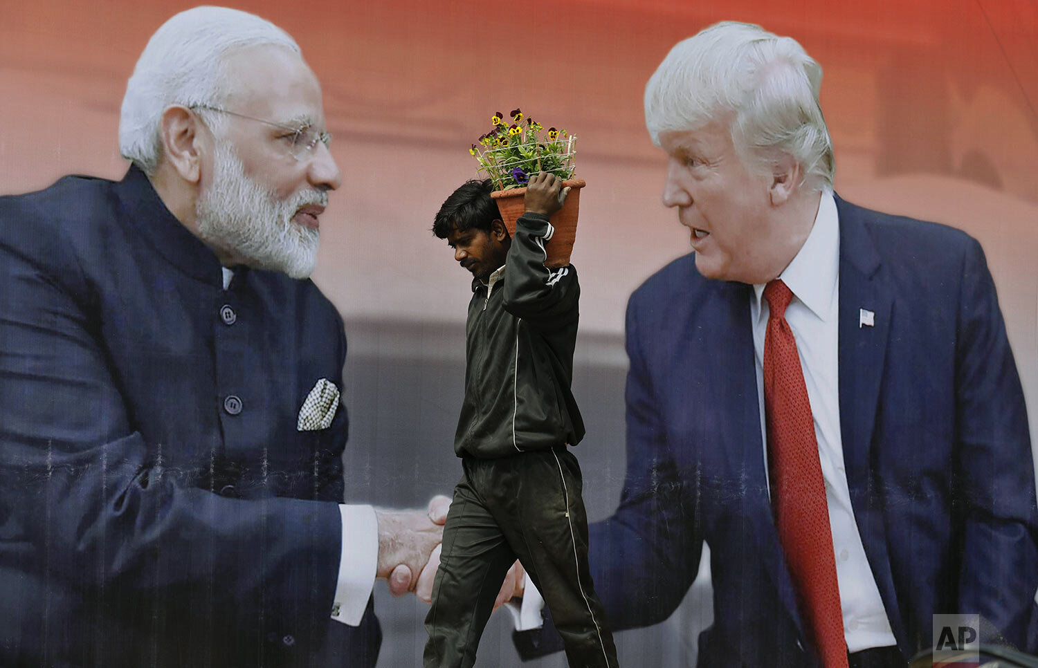 An Indian worker carries flowers to plant past a billboard featuring U.S. President Donald Trump and Indian Prime Minister Narendra Modi in Agra, India, Sunday, Feb. 23, 2020, a day before Trump travels to Agra to visit the 17th century monument to