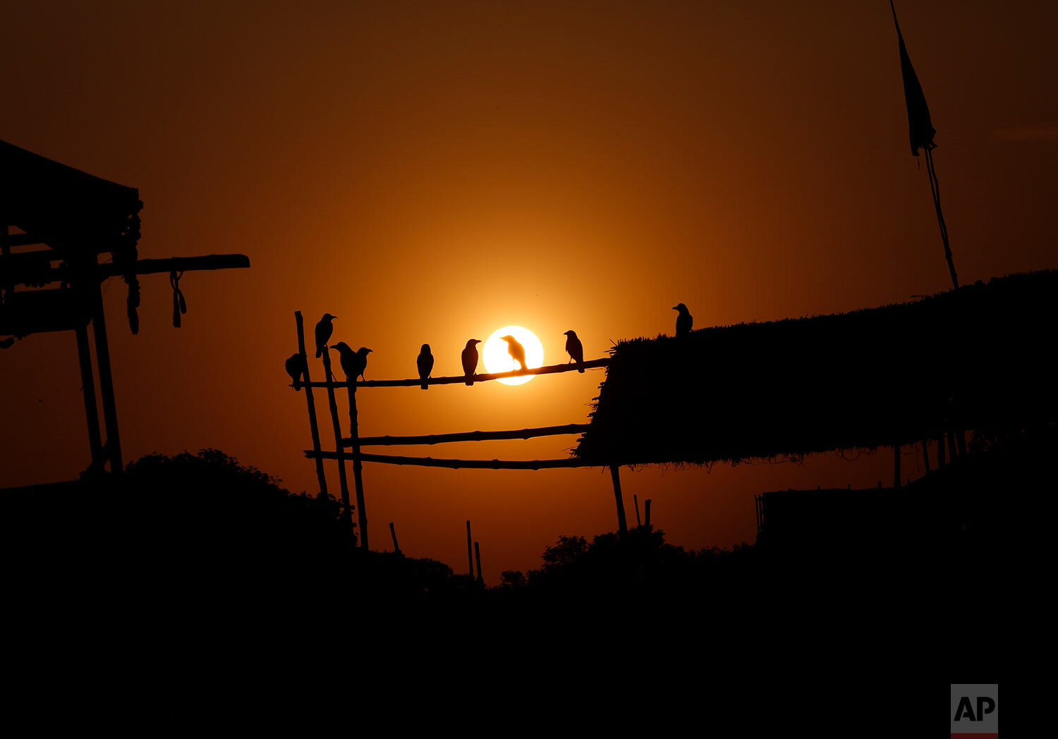  Crows sitting on a pole are silhouetted against setting sun during lockdown to control the spread of the coronavirus in Prayagraj, India, Tuesday, April 21, 2020.  (AP Photo/Rajesh Kumar Singh) 
