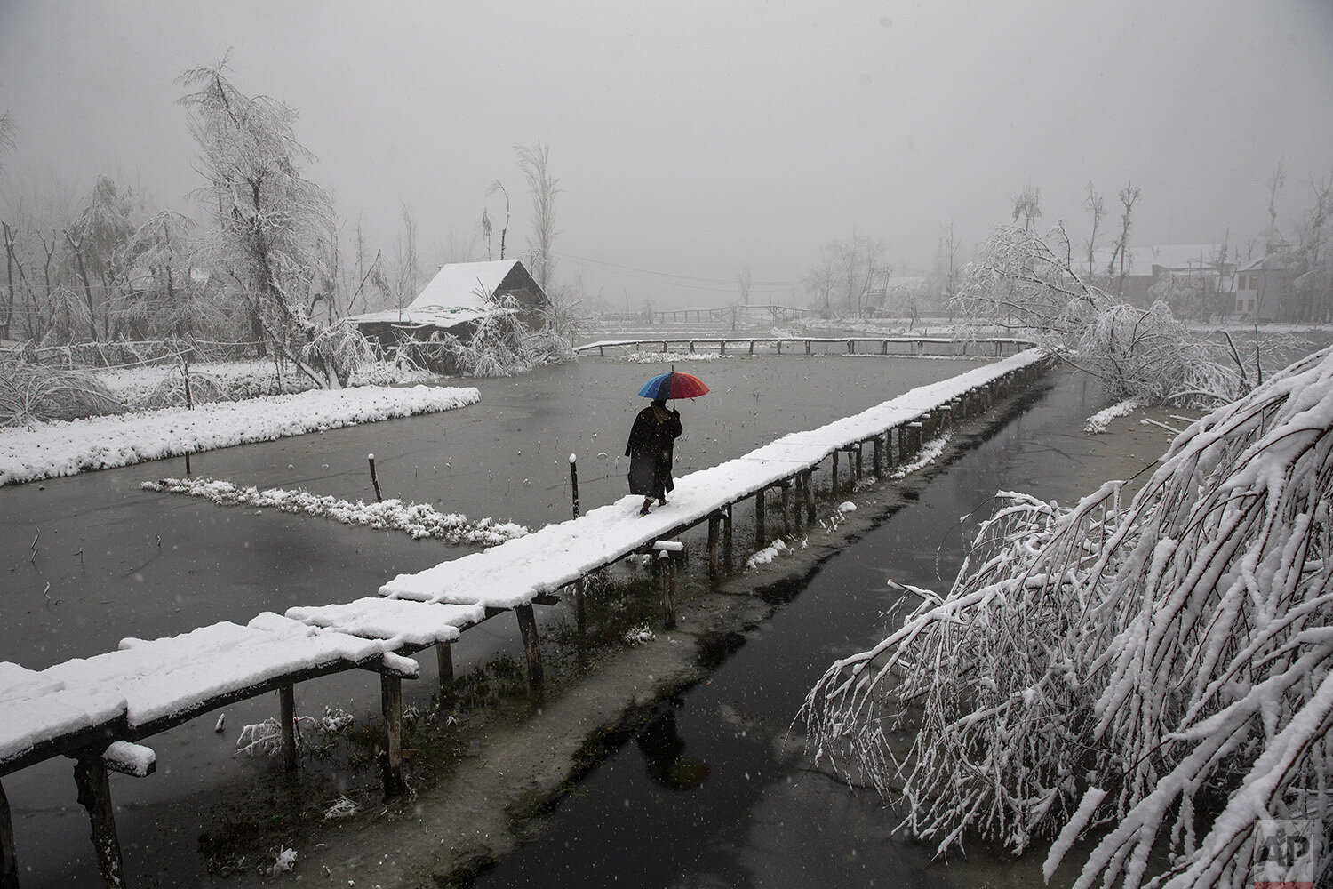  A Kashmiri man walks on a snow covered footbridge as it snows in the interiors of Dal Lake in Srinagar, Indian controlled Kashmir, Dec. 13, 2019. (AP Photo/Dar Yasin) 