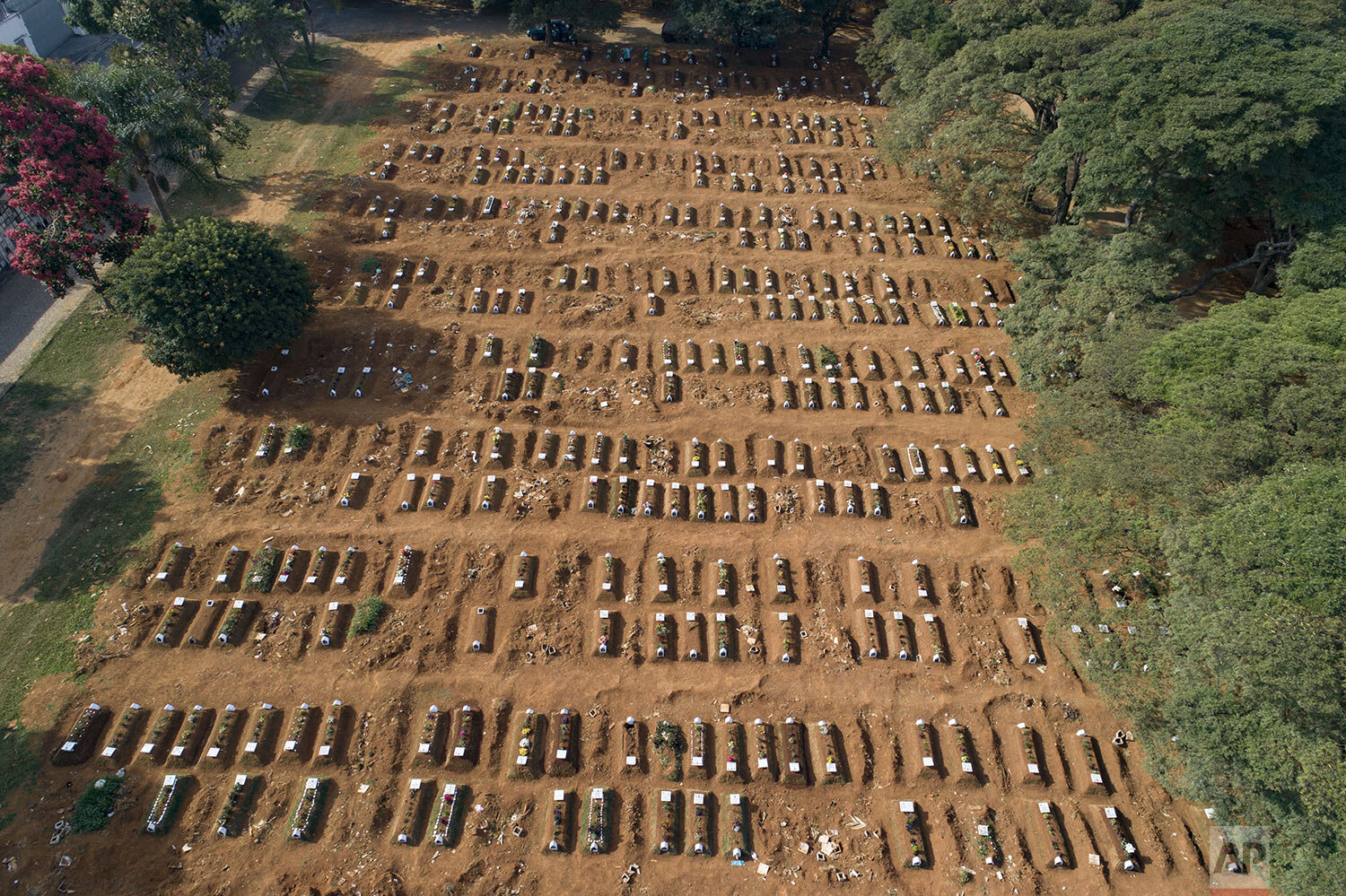  The graves of those who have died during the previous weeks fill the Vila Formosa cemetery, during the new coronavirus pandemic in Sao Paulo, Brazil, Thursday, April 30, 2020. (AP Photo/Andre Penner) 