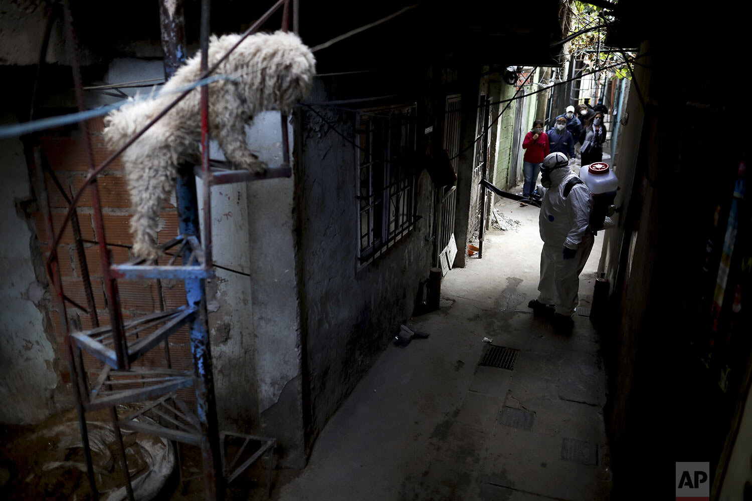  A dog stands on a staircase where a worker disinfects the streets of "Villa 31" in Buenos Aires, Argentina, Tuesday, May 5, 2020. (AP Photo/Natacha Pisarenko) 