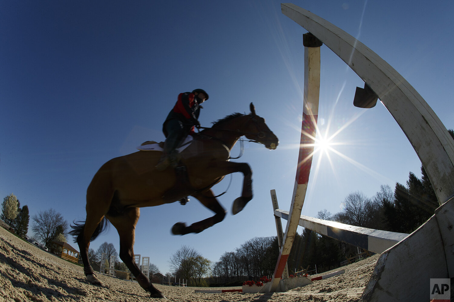  Phillip Dutton, a medal-winning equestrian on the U.S. Olympic team, rides Fernhill Singapore through a series of jumps while training at his farm, Thursday, April 2, 2020, in West Grove, Pa. (AP Photo/Matt Slocum) 
