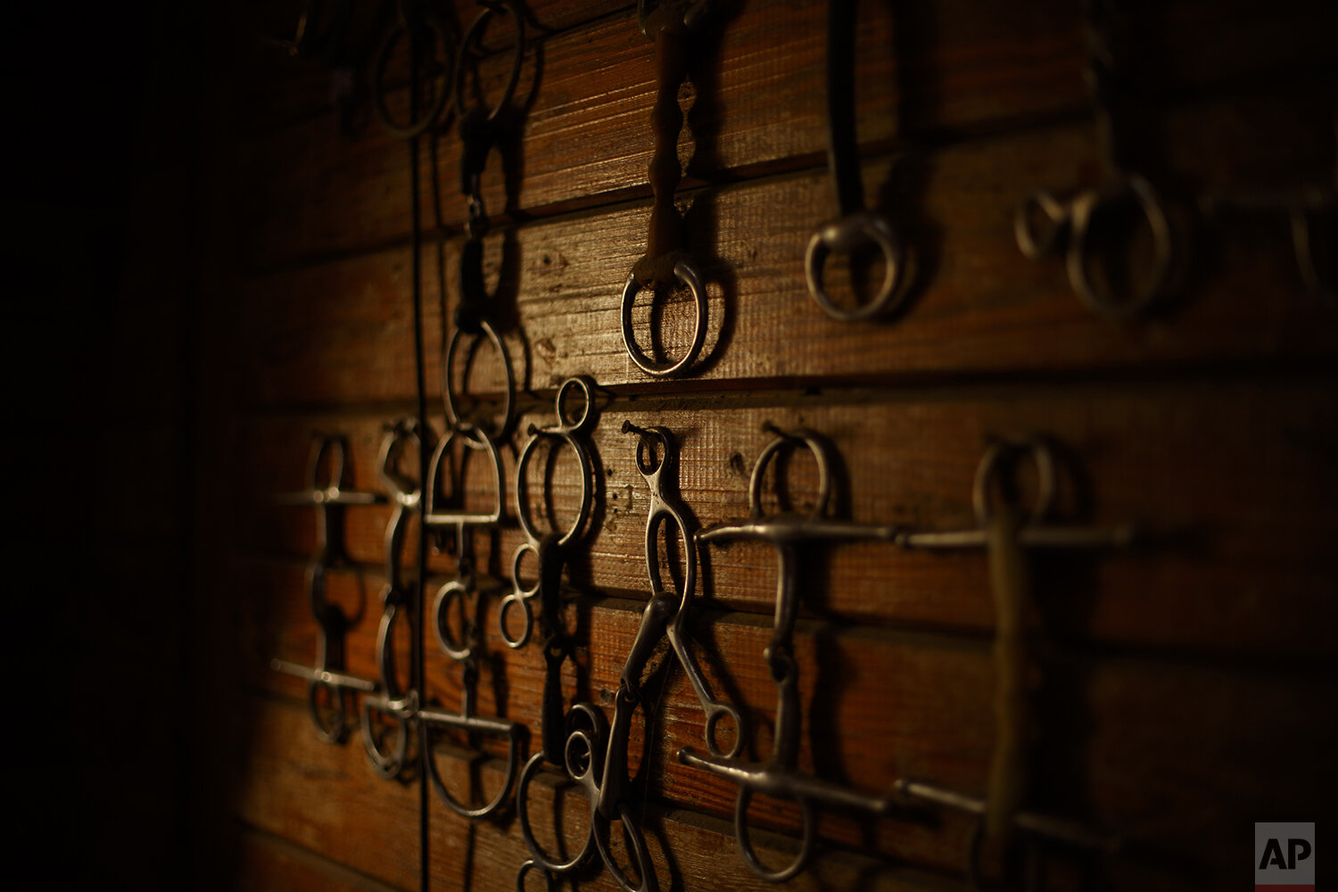  Horse tack hangs on the barn wall at True Prospect Farm, the farm of Phillip Dutton, a medal-winning equestrian on the U.S. Olympic team, Thursday, April 2, 2020, in West Grove, Pa. (AP Photo/Matt Slocum) 