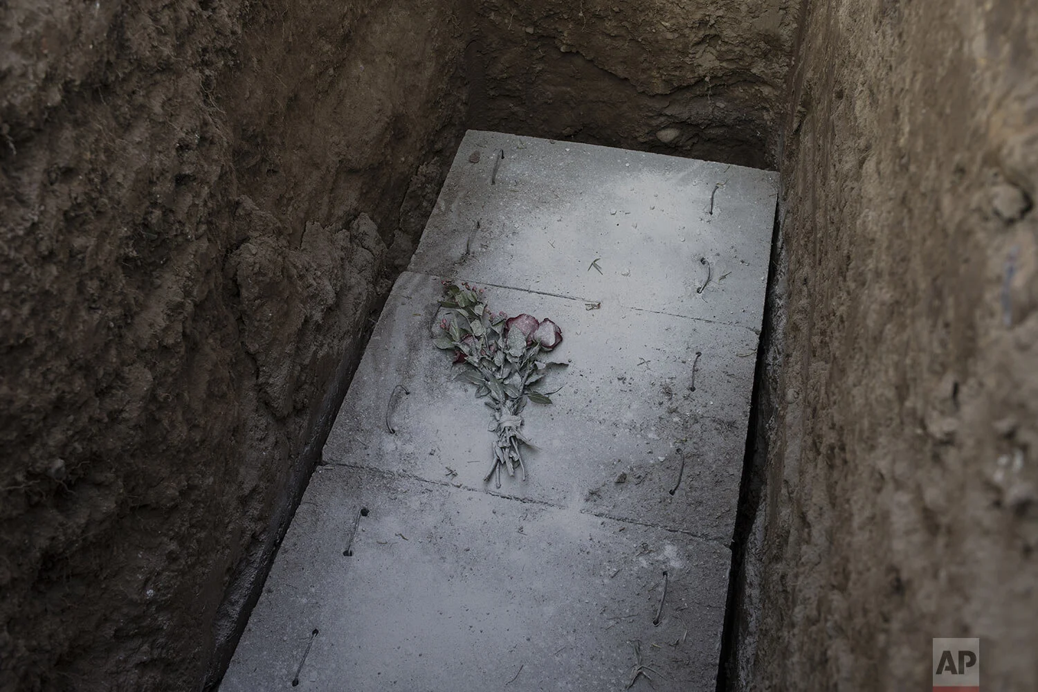  Red roses dusted with lime cement lay on a concrete slab covering the coffin containing the remains of cameraman Mario Bucana who is suspected to have died from the new coronavirus, at the Camp Fe cemetery in Lima, Peru, Friday, May 8, 2020. (AP Pho