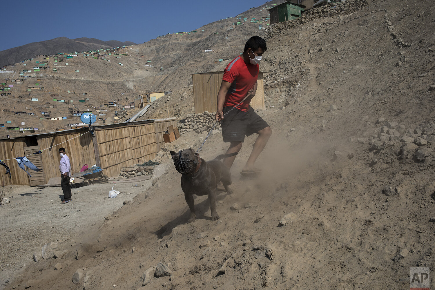  n this May 8, 2020 photo, a neighbor holds his dog that barks to Piedrangel funeral home workers who walk towards the house of  Marcos Espinoza, 51, who died due to Coronavirus  in Pachacamac, outskirts from Lima, Peru. Marcos, single and childless,