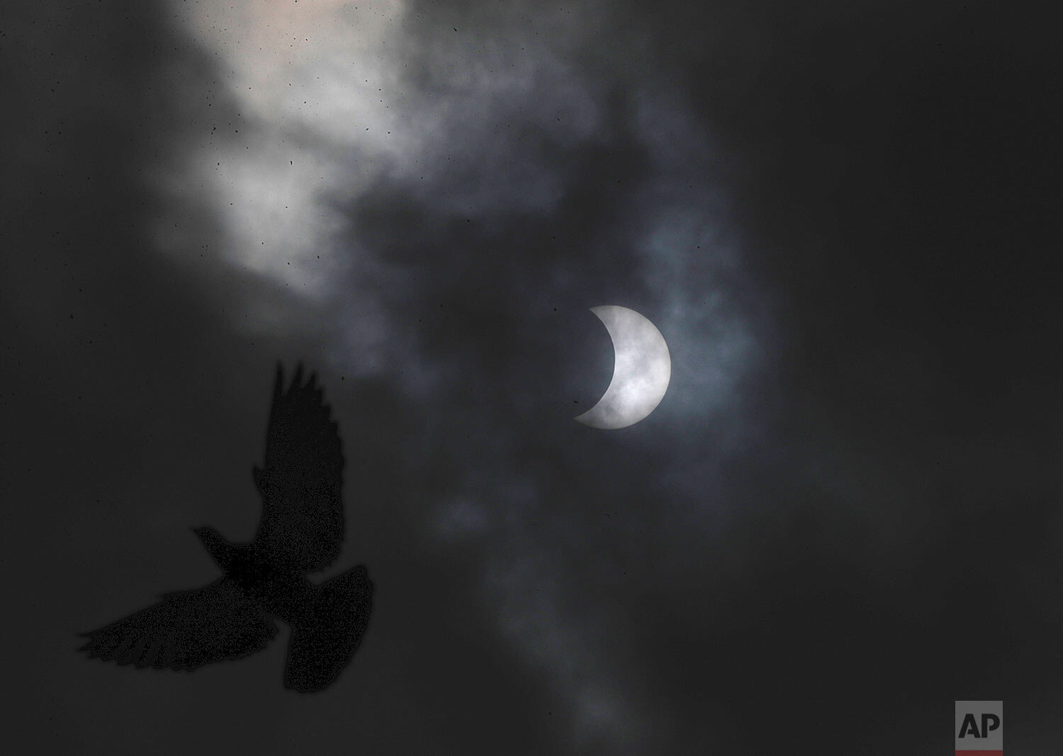  A pigeon flies as the sun forms a crescent during solar eclipse in Hyderabad, India, Sunday, June 21, 2020. (AP Photo/Mahesh Kumar A.) 