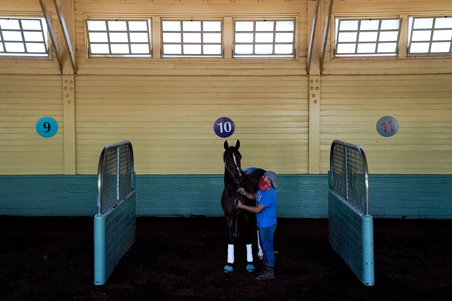  In this Friday, May 22, 2020 photo, a groom wearing a face mask readies a horse for racing at Santa Anita Park in Arcadia, Calif. Horse racing returned to the track after being idled for one and a half months because of public health officials' conc