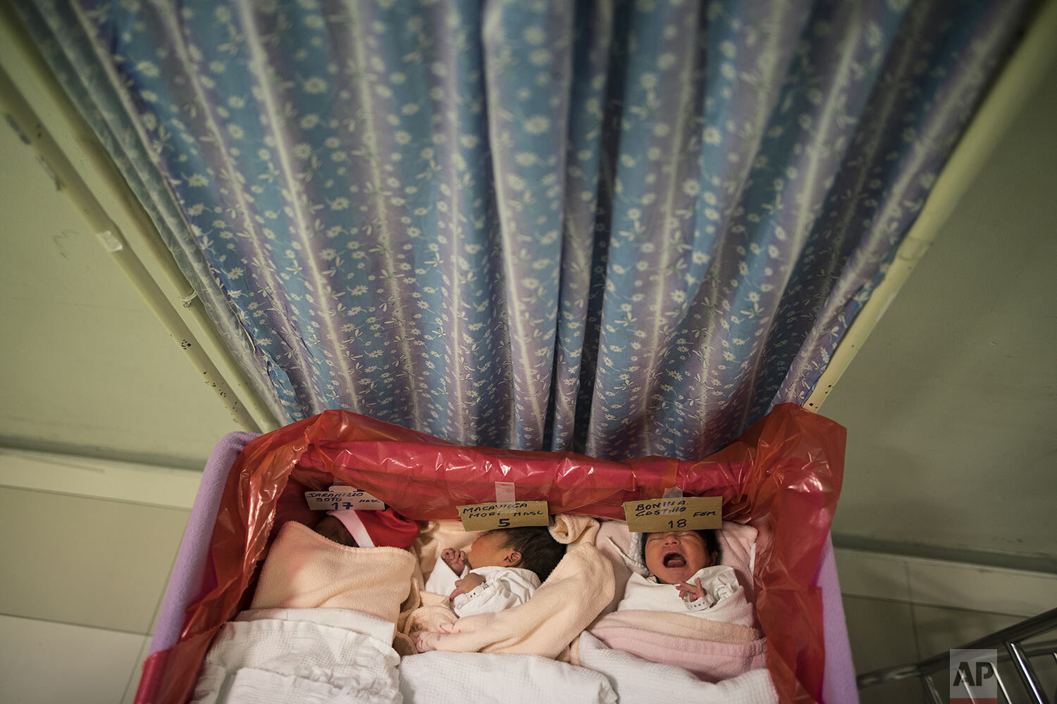 A newborn baby cries lying in a crib lined with a red plastic sheet to identify babies whose mothers are infected with the new coronavirus, at the National Perinatal and Maternal Institute in Lima, Peru, Thursday, July 30, 2020.  (AP Photo/Rodrigo A