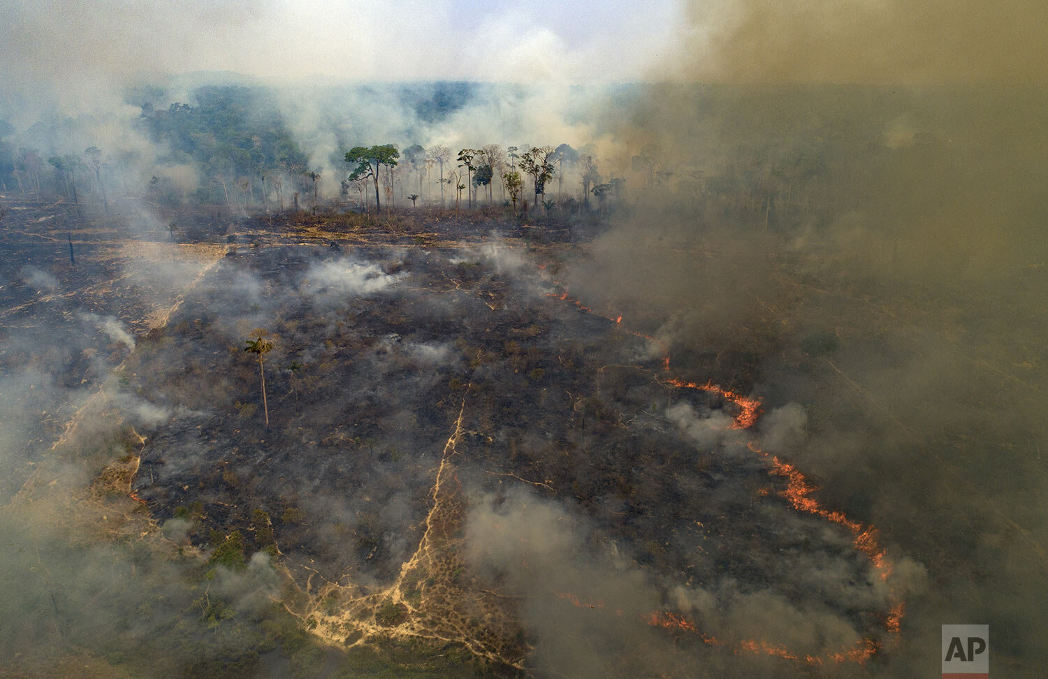  Fire consumes land deforested by cattle farmers near Novo Progresso, Para state, in Brazil’s Amazon, Aug. 23, 2020. (AP Photo/Andre Penner) 