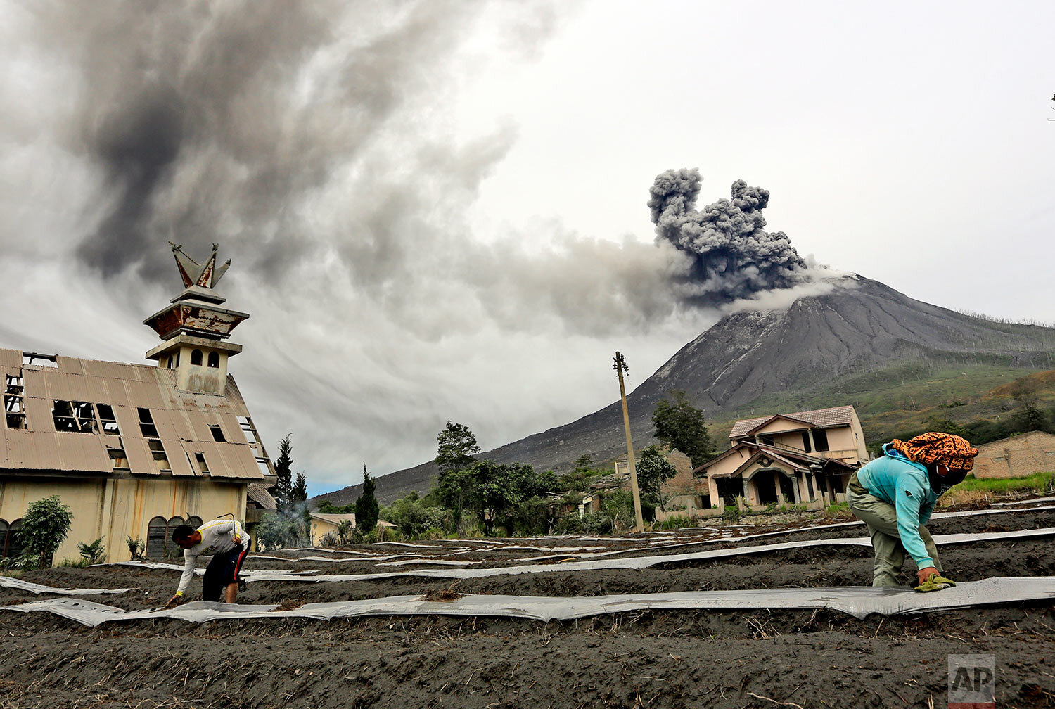  Villagers work at their farm as Mount Sinabung spews volcanic materials during an eruption, in Karo, North Sumatra, Indonesia Friday, Aug. 14, 2020.  (AP Photo) 