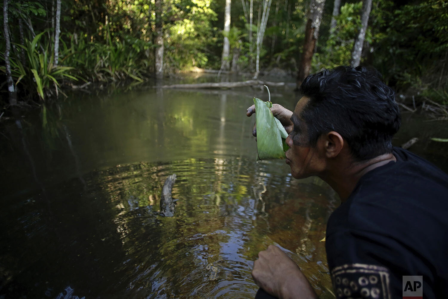  Regis Tufo Moreira Tembem, a Tenetehara Indigenous man from the Ka'Azar, or Forest Owners, uses a leaf as a cup to drink water from a stream as his group patrols their lands on the Alto Rio Guama Reserve, near Paragominas, in the northern Brazilian 