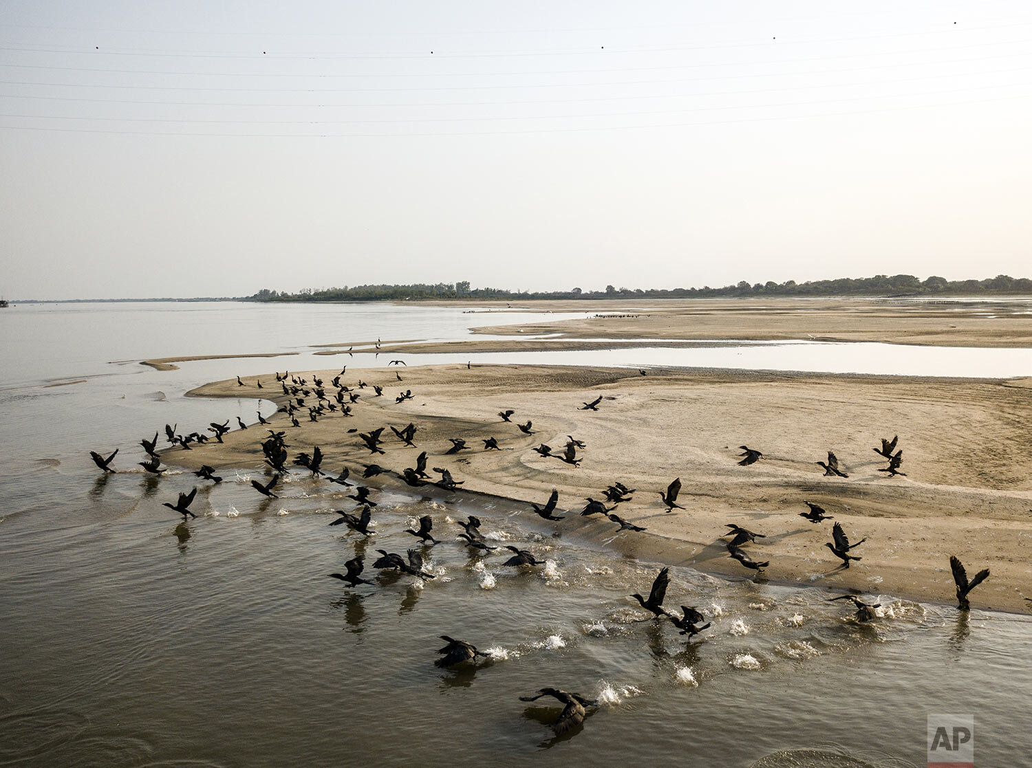  Birds gather on the sandbanks that were unearthed by the historically low level of the Paraguay River in Asuncion, Paraguay, Tuesday, Oct. 6, 2020. (AP Photo/Jorge Saenz) 
