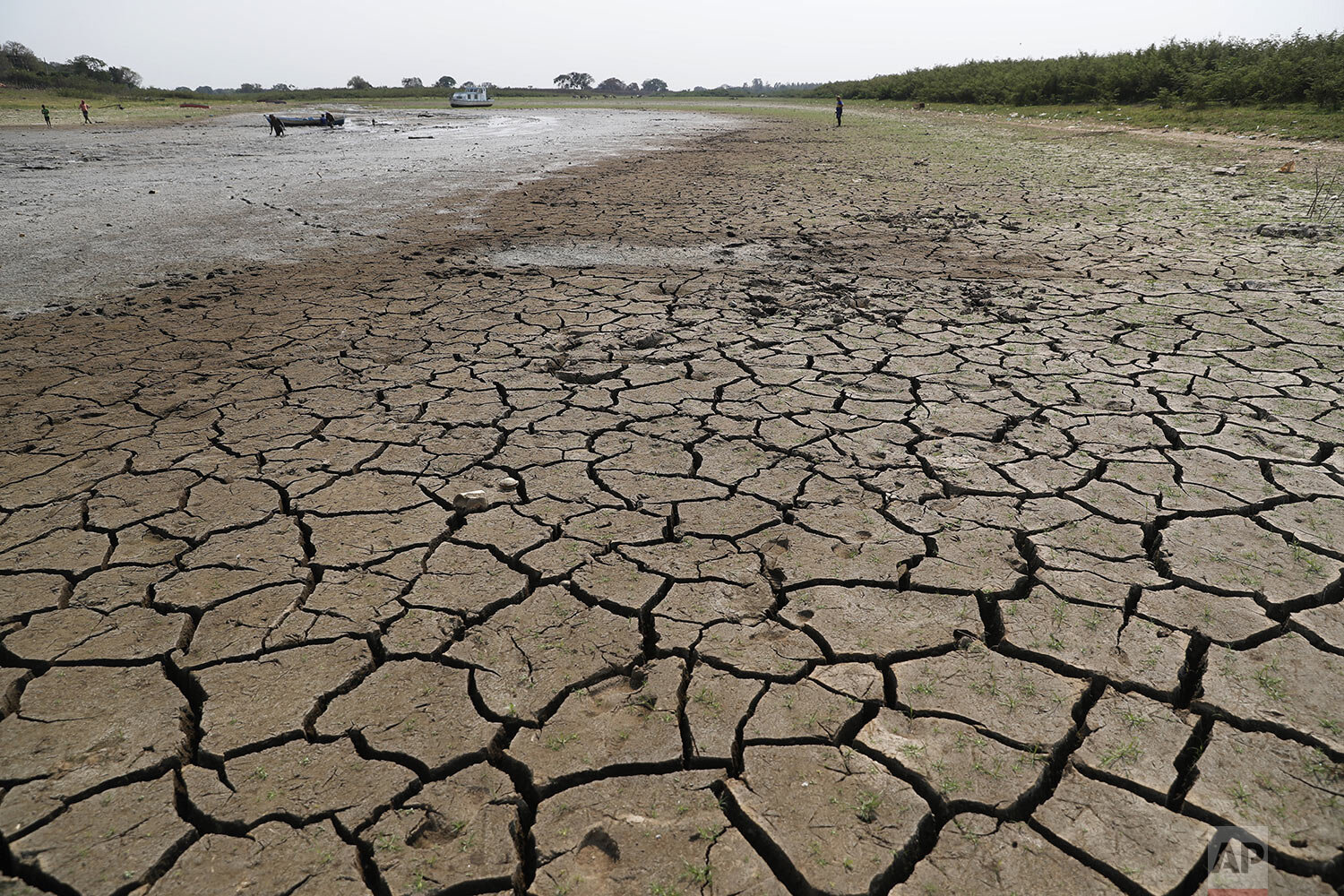  Cracked earth is exposed in the riverbed of the Paraguay River in Chaco-i near Asuncion city, Paraguay, Thursday, Oct. 8, 2020. (AP Photo/Jorge Saenz) 