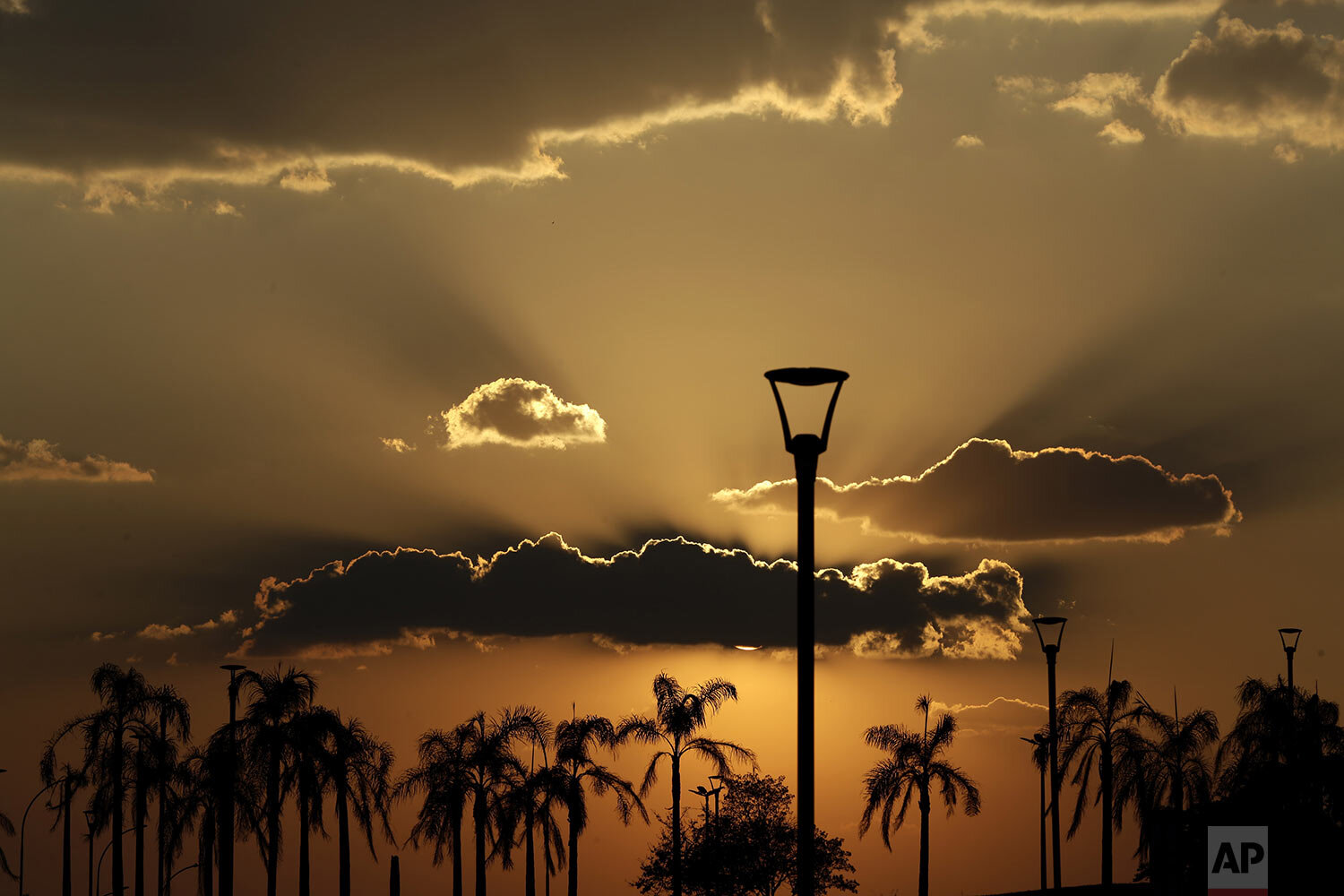  Palm trees in City Park are silhouetted at dusk after temperatures peaked at 40 degrees Celsius, or 100.4 degrees Fahrenheit, in Brasilia, Brazil, Oct. 6, 2020. (AP Photo/Eraldo Peres) 