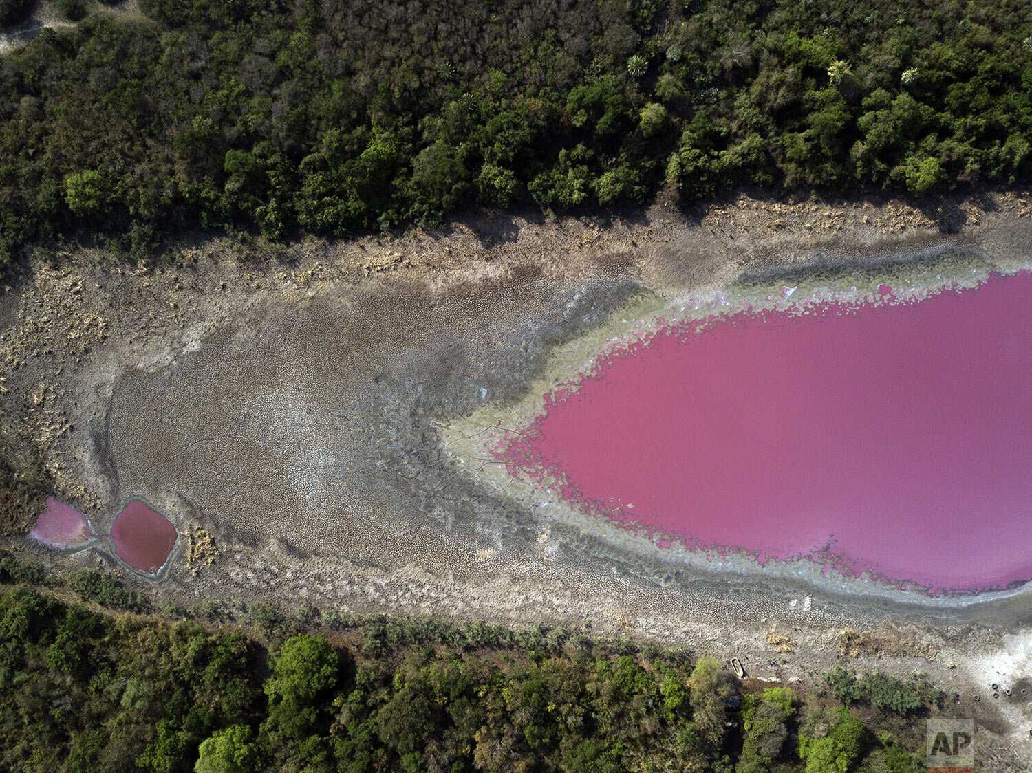  The bed of the Cerro Lagoon is dry and cracked from an extended drought, holding purple water due to untreated waste from a tannery company, in Limpio, which means "clean," Paraguay, Oct. 21, 2020. (AP Photo/Jorge Saenz) 