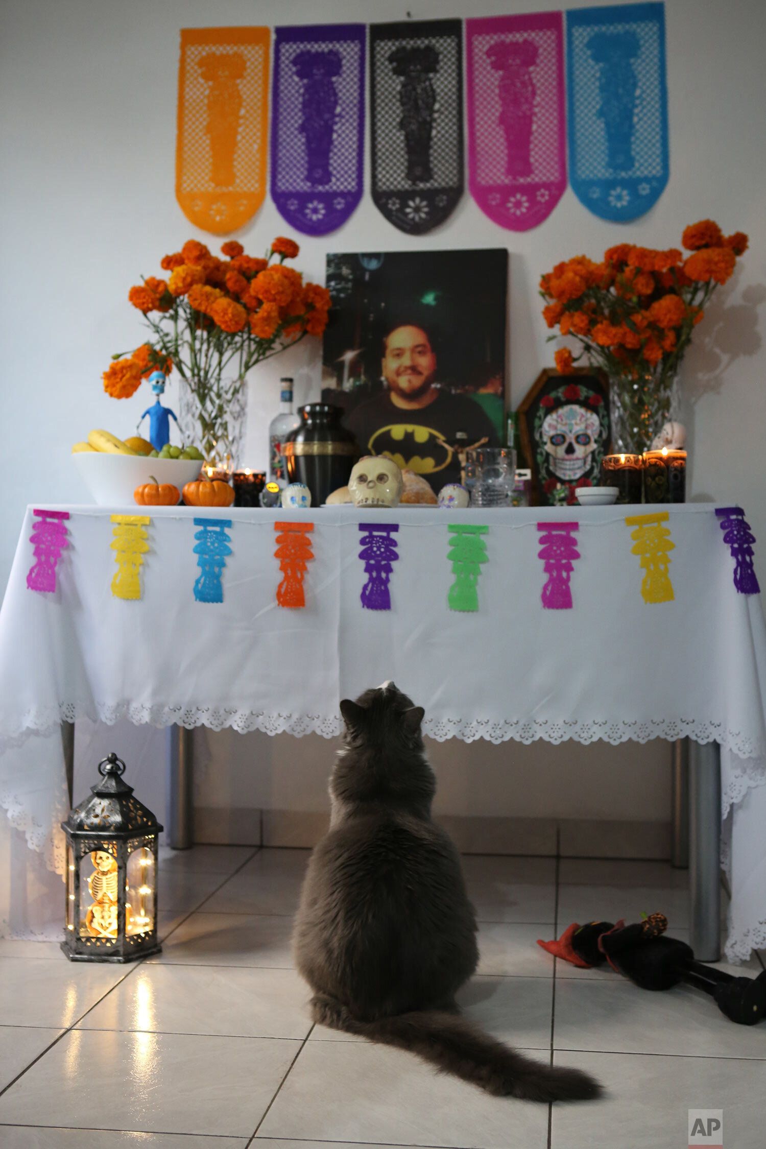  A pet cat named Actino looks at a Day of the Dead altar with a portrait of his former caretaker, Daniel Silva Montenegro, a doctor who died from symptoms related to COVID-19, at their home in Mexico City, Oct. 31, 2020. (AP Photo/Ginnette Riquelme) 