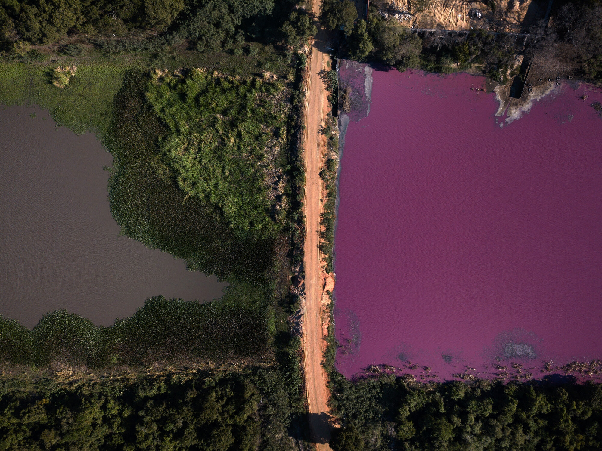 A road divides the Cerro Lagoon, where the water at right is colored and the Waltrading S.A. tannery stands on the bank, top right, in Limpio, Paraguay, on Aug. 5, 2020. According to Francisco Ferreira, a technician at the National University Multidisciplinary Lab, the color of the water is due to the presence of heavy metals like chromium, commonly used in the tannery process. (AP Photo/Jorge Saenz)