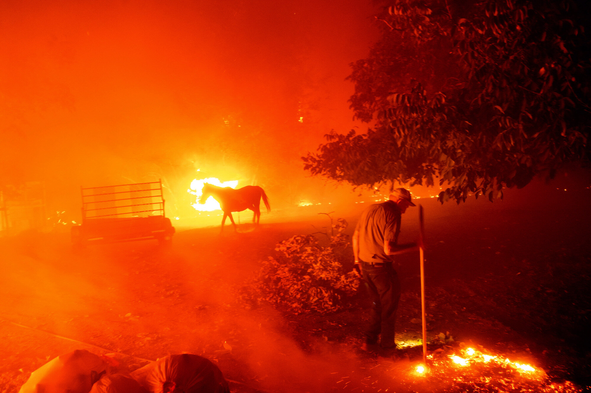 Bill Nichols, 84, works to save the home he has lived in for 77 years as a wildfire tears through Vacaville, Calif., on Aug. 19, 2020. Dozens of wildfires were sparked by lightning strikes during a statewide heat wave. (AP Photo/Noah Berger)