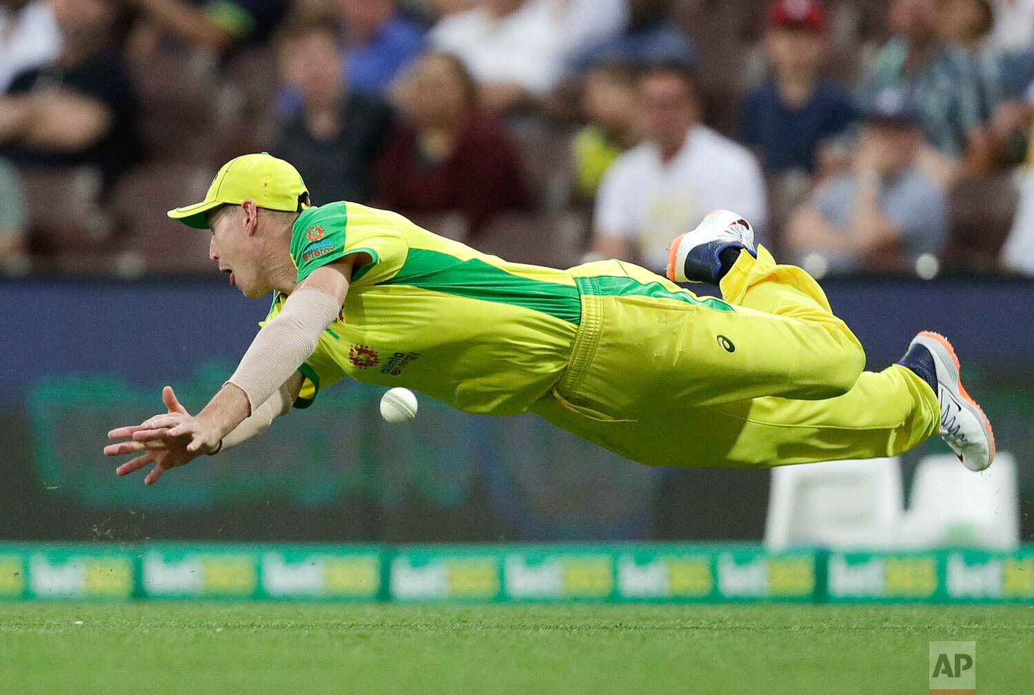  Australia's Marcus Labuschagne dives to field the ball during the one day international cricket match between India and Australia at the Sydney Cricket Ground in Sydney, Australia, Sunday, Nov. 29, 2020. (AP Photo/Rick Rycroft) 